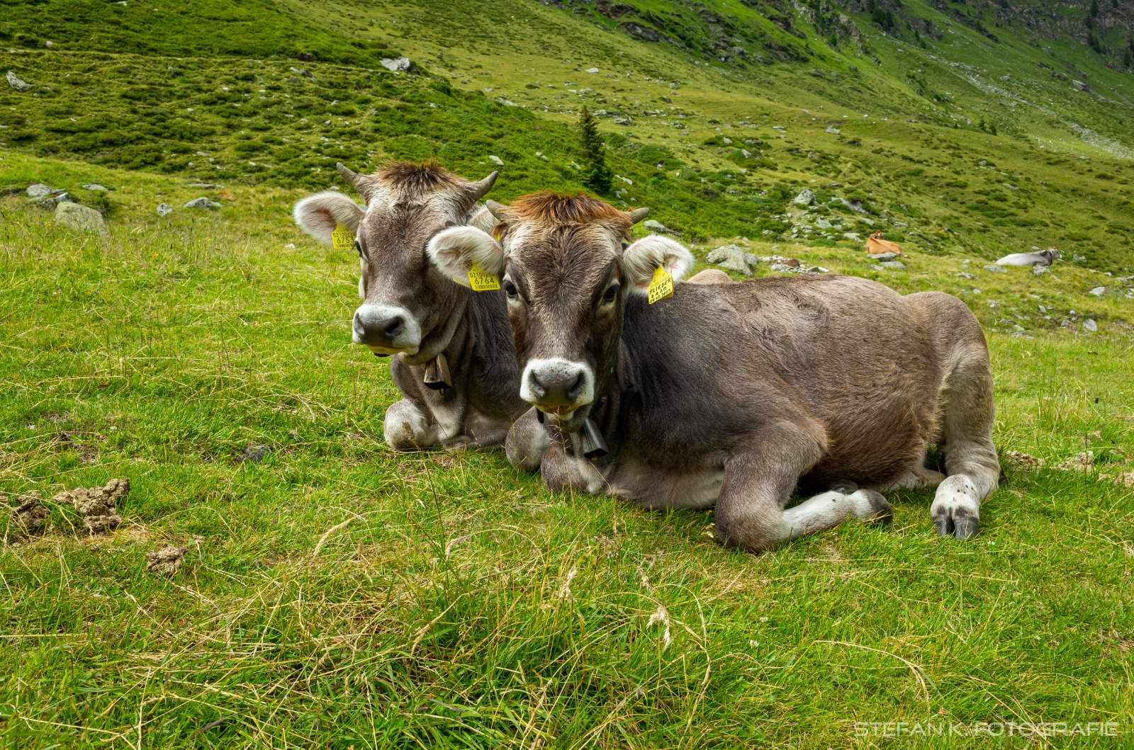 2020 07 16 Bergwanderung ums Kalmtal 0030